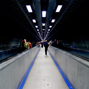 好色先生官网下载